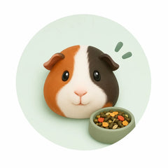 Caviavoer