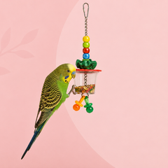 Foerageren vogels