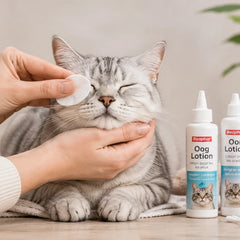 Oog- & oorverzorging voor katten