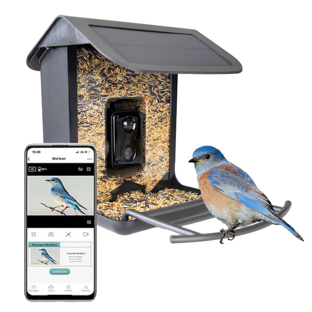 Voer- & waterbakken vogels