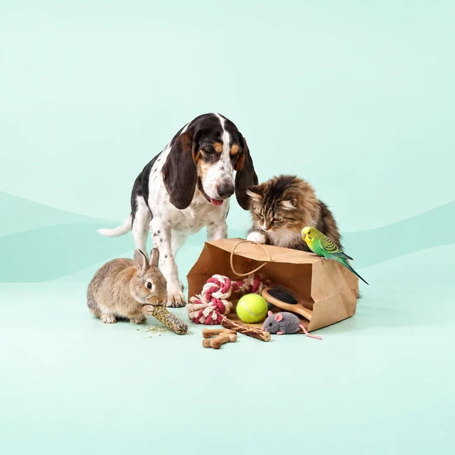 Hond, kat, konijn en parkiet met gratis producten