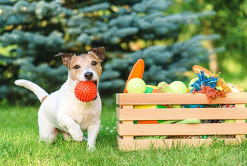 Hondenspeelgoed - Fidello
