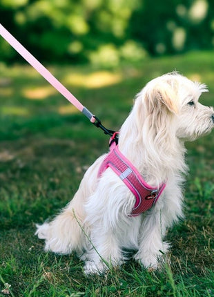 Zolux Szelki oddychające z siatki XS zielone