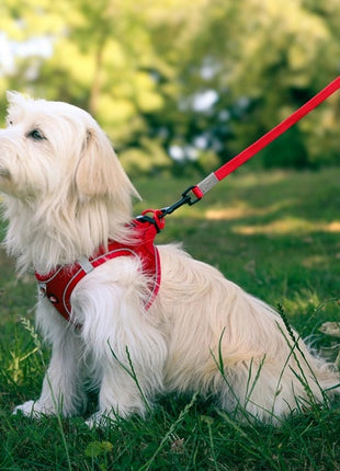 Zolux Szelki oddychające z siatki XS czerwone