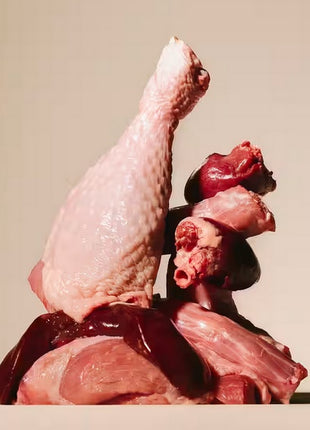 Carnilove Dog Turkey & Venison - indyk i dziczyzna saszetka 300g