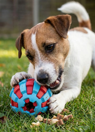Zolux Zabawka na przysmaki do aportowania piłka 6cm