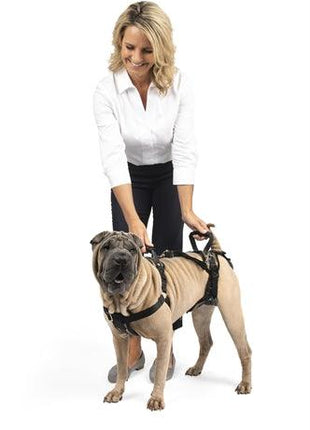 Solvit Petsafe Carelift Voor En Achter