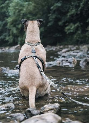 Morso Hondentuig H-Tuig Gerecycled Full Metal Dog Bruin