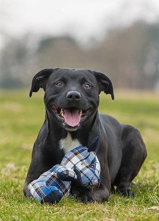 Rosewood Blueberry Beer Geruit Blauw