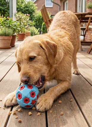 Zolux Zabawka na przysmaki do aportowania piłka 8cm