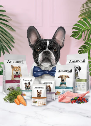 Amanova Dog Puppy  Sensitive Salmon Deluxe - łosoś 2kg