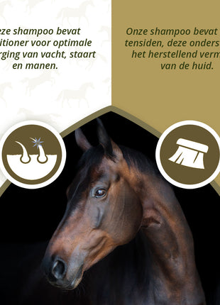 Excellent Horse Hi Gloss Shampoo Lavender 500 ml