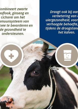 Direct Udder Support 4 x 60 g