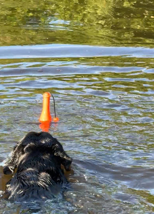 Dog Comets Bobber Oranje