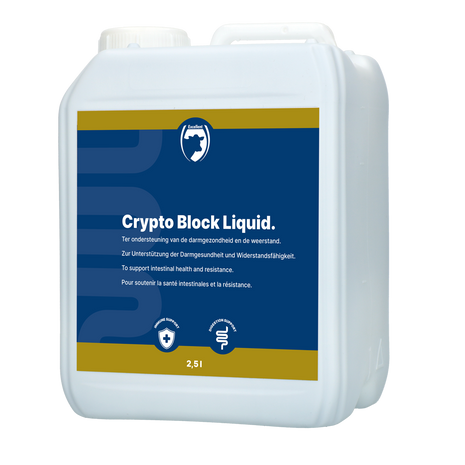 Excellent Crypto Block Liquid 2,5L