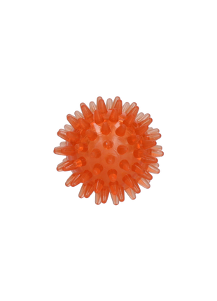 Dog Comets Exoplanet Egelbal Oranje