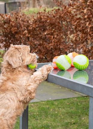 Dog Comets Glow In The Dark Moon Bal Groen
