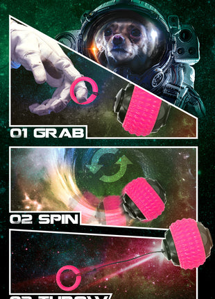 Dog Comets Blazar Jet Roze