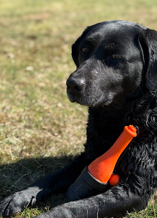 Dog Comets Bobber Groen