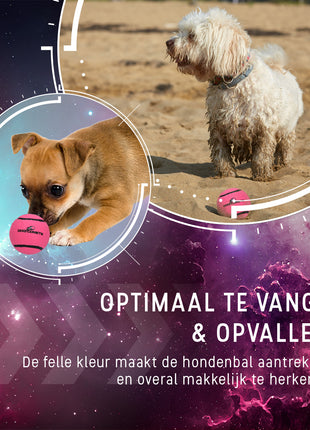 Dog Comets Tennisbal Starlight
