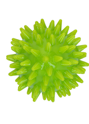 Dog Comets Cosmic Egg Groen