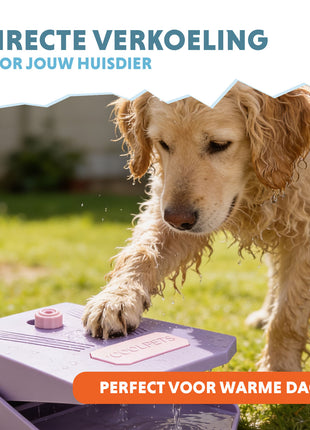Coolpets Splash Water Fountain Lila