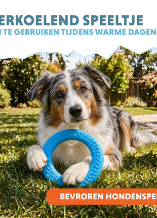 Coolpets Ice Ring