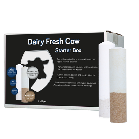 Dairy Fresh Cow Starter Box 2 x 12 stuks