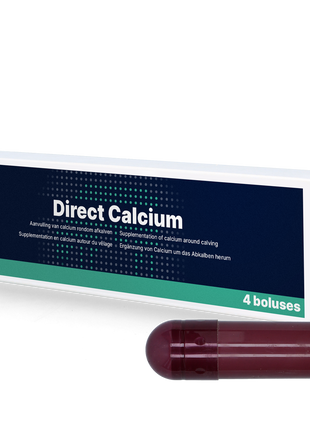 Direct Calcium 4 x 94 g