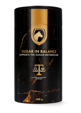 Excellent Horse Sugar in Balance