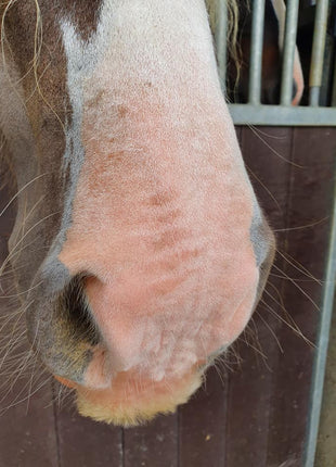 Excellent Horse Sunblock Cream SPF 30 150 g