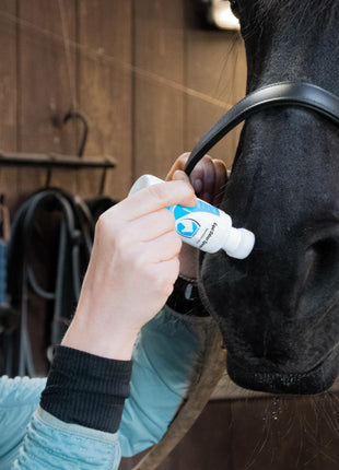 Excellent Horse Odour Spons-On 75 ml