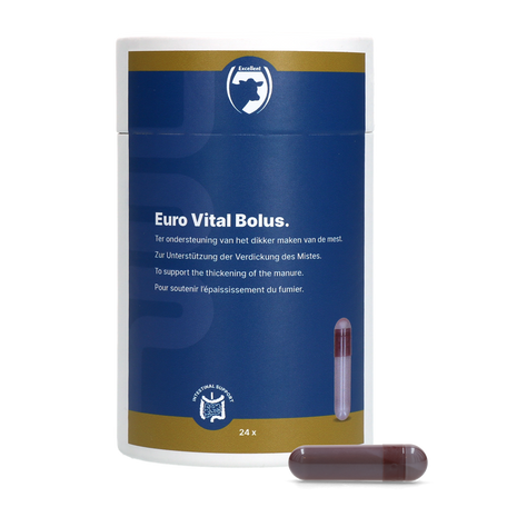 Excellent Euro-Vital Bolus 24 x 10 g