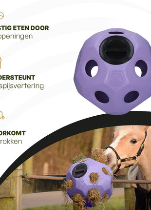 Excellent Horse Feed & Play Ball Paars