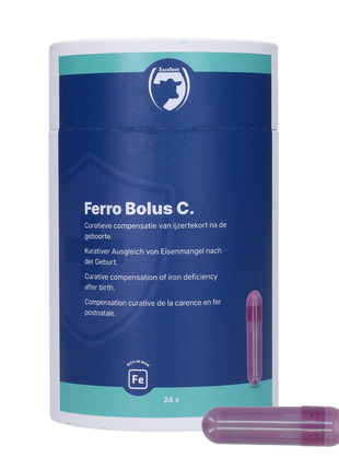 Excellent Ferro Bolus C 24 x 9,5 g