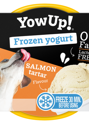 YowUp! Frozen Yoghurt Salmon Tartar
