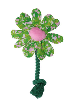 Garden Paws Flower Summer Shrubs
