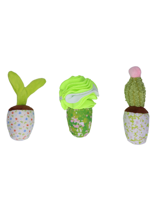 Garden Paws Snuffle Box Sprout, Crop & Cactus