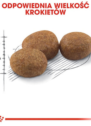 Royal Canin Sterilised karma sucha dla kotów dorosłych, sterylizowanych 400g