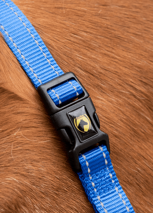 Excellent Premium Halster Blauw
