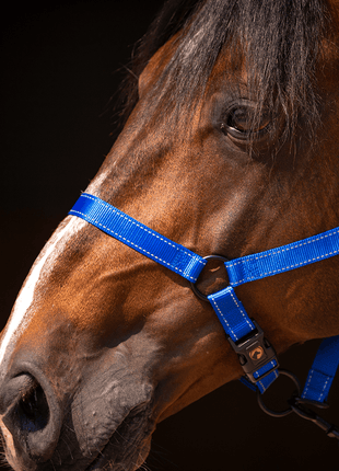 Excellent Premium Halster Blauw