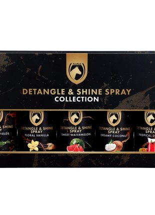 Detangle & Shine Spray Geschenkset 5 x 50 ML