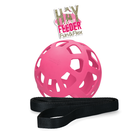 Hay Slow Feeder Fun & Flex Roze