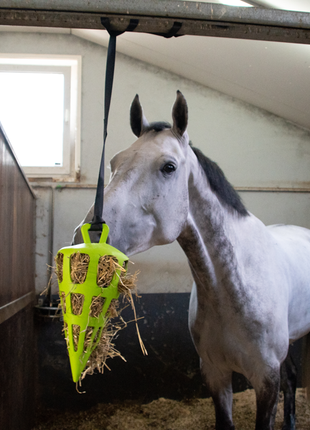 Hay Slow Feeder Fun & Flex Carrot Groen