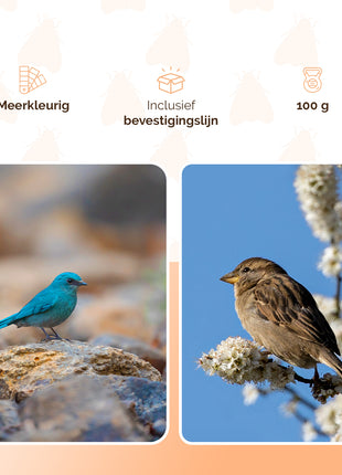 Knock Pest Vogel Verschrikker vlieger los