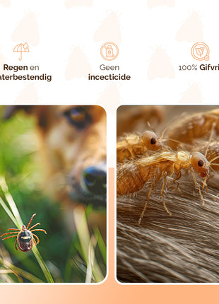 Knock Pest Vlooien/Tekenband Hond NL/FR