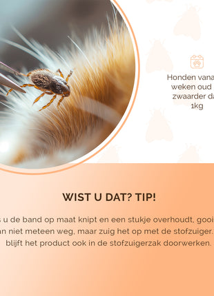 Knock Pest Vlooien/Tekenband Hond DE/UK