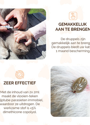 Knock Pest vlooien-tekenpipet Kat DE/UK