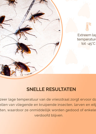 Knock Pest Freeze It