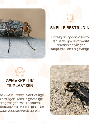 Knock Pest Raamval Voor Vliegen